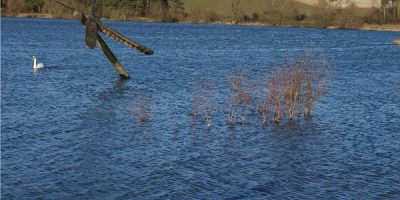 Pitsford Water.jpg